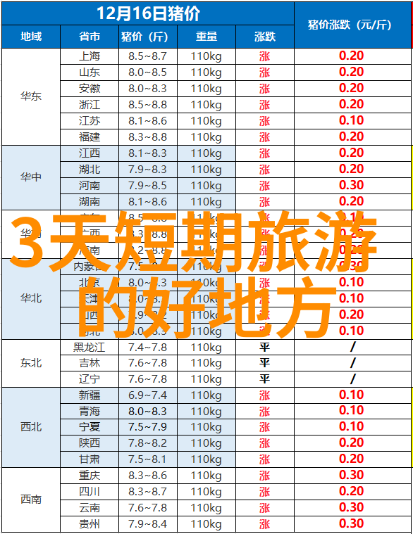 一场跨越时空的家庭聚会回忆我最美好的春节