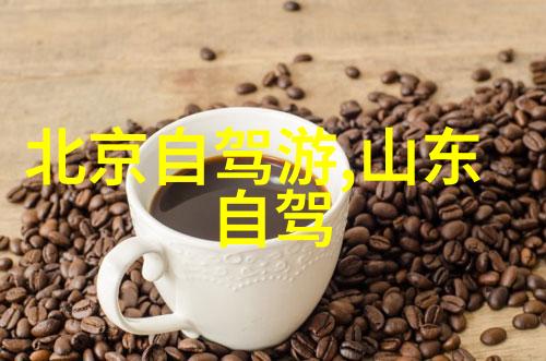 大连美食之旅海鲜盛宴与街头小吃的魅力