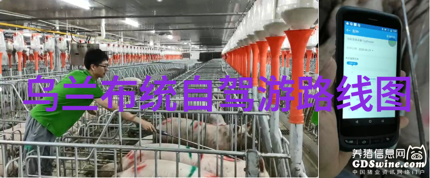 新疆自驾游攻略如何避开戈壁风暴