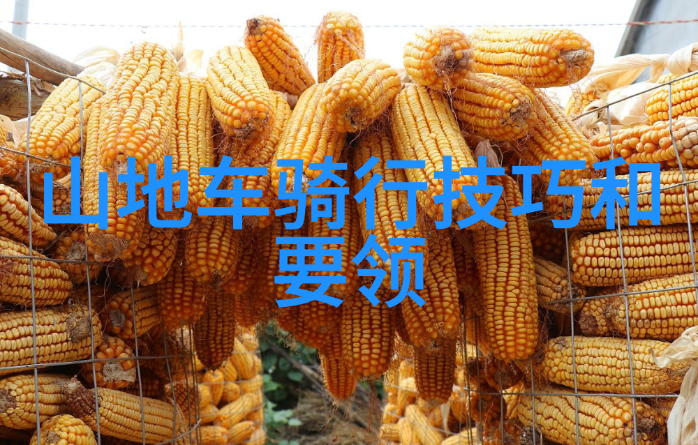 窗边的小豆豆一段温馨的成长记忆