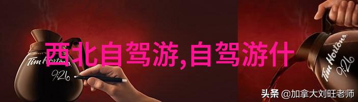 女生骑自行车时的心跳与微笑探索骑行中的反应与感受