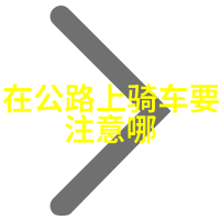 探索全球最美景点最佳跟随路线推荐使用捷安特公路车