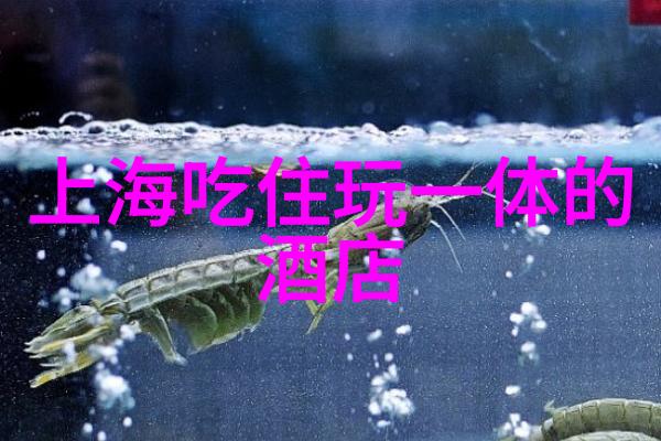 上海旅游住哪里比较好凤悦酒店及度假村携子品牌耀目上海国际酒店展创变未来人生旅途