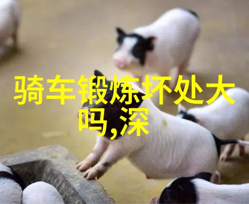 西安最好吃的美食在哪里我带你去找西安那些脍炙人口的美味