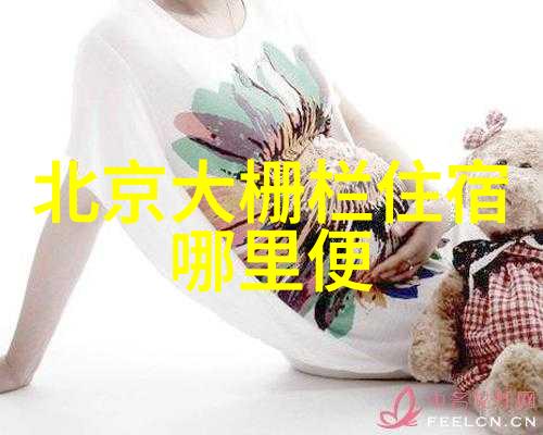 中国美食之旅探索四大著名小吃街的魅力