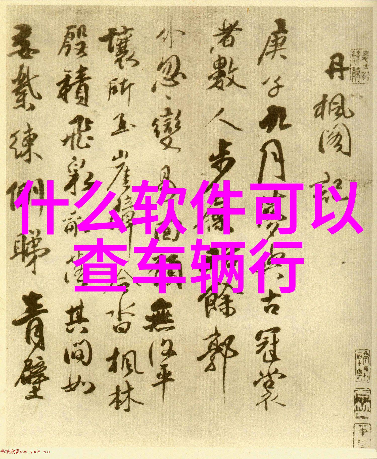 山中漫步探索自然的奇迹与自我成长初二学生的爬山游记