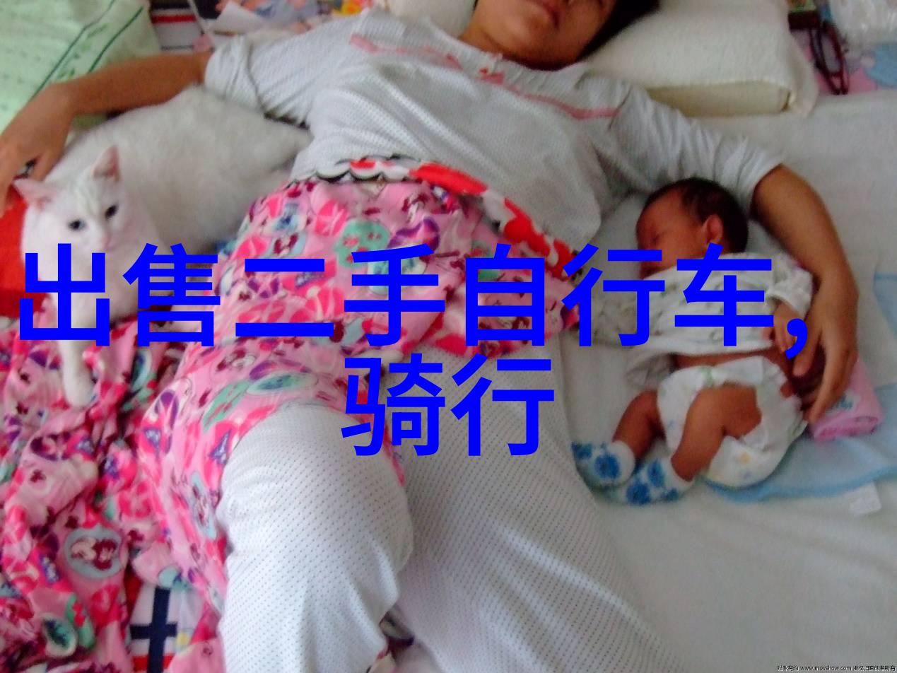 冬季奇遇冬日游玩最佳目的地