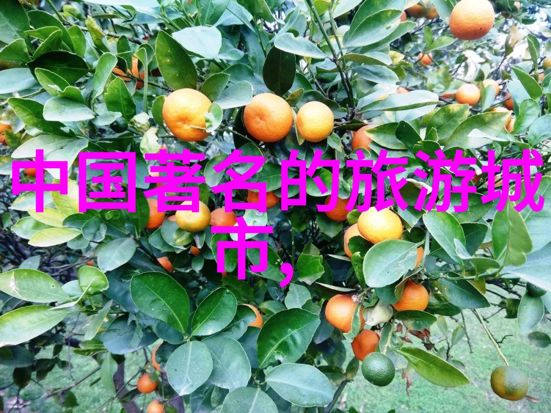 探索无限乐趣为什么某些游戏成为了玩家心中的最佳选择