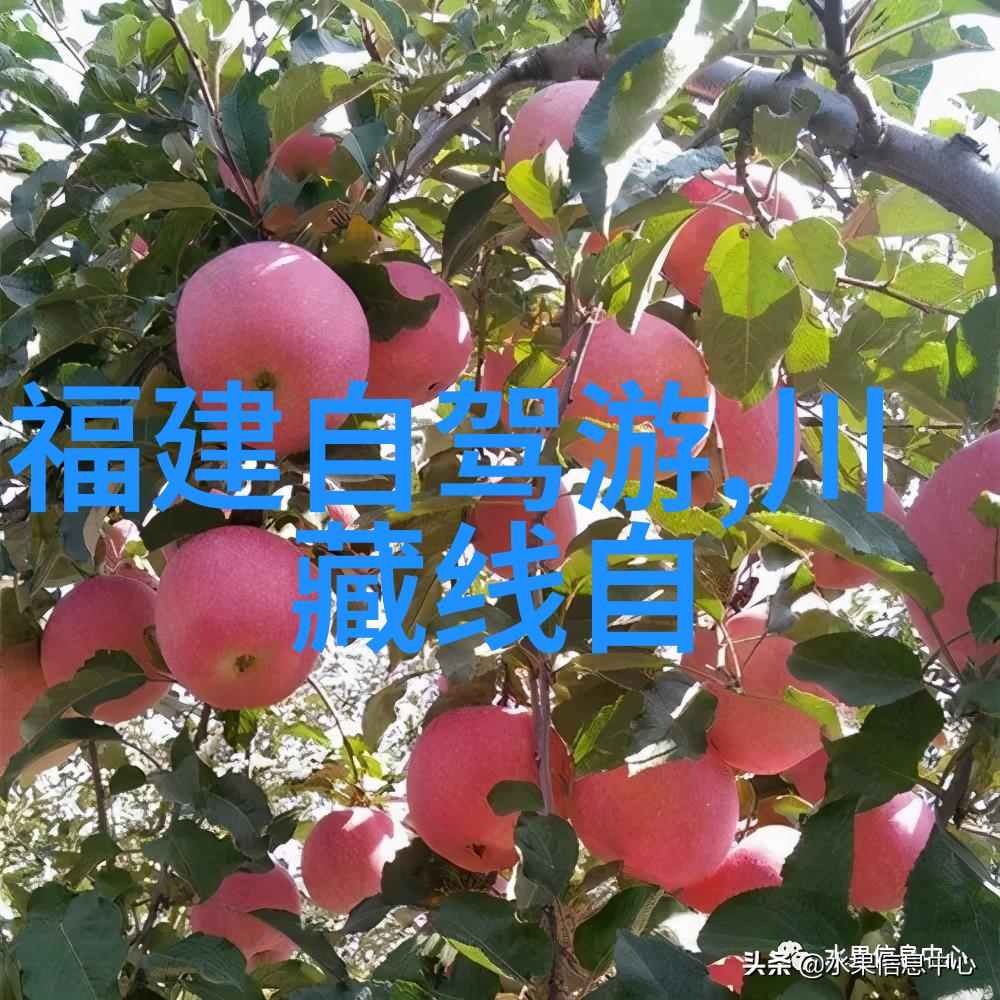天际漂泊探索未知的飞屋冒险