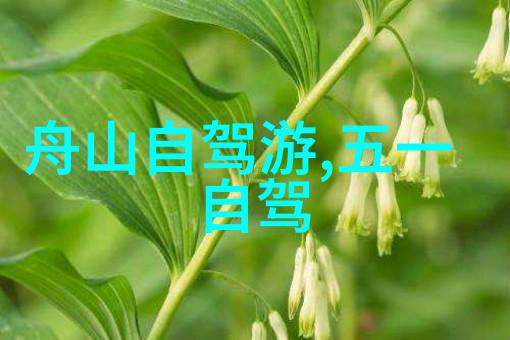 丽江三圣寺附近还有其他值得一探的地方吗
