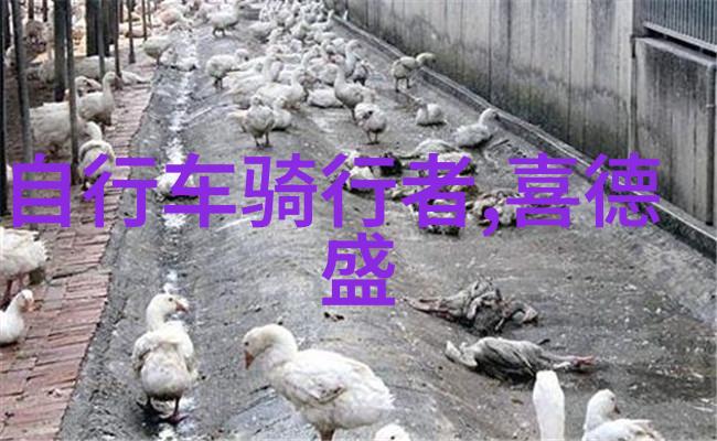 武汉旅游攻略我在武汉的7天7夜探秘江城美食与古迹