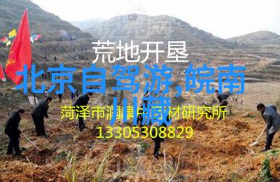北京小吃攻略来吧跟我一起嗨逛街头的美味