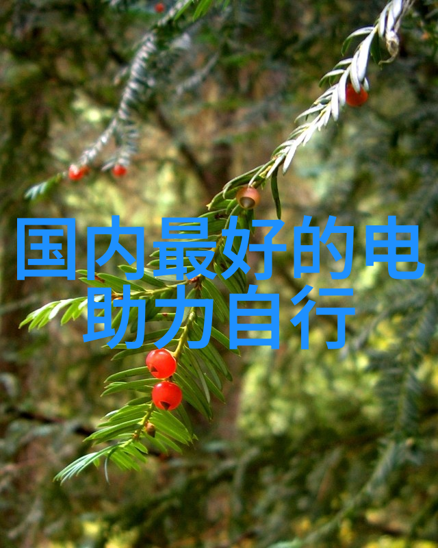 翠峦回响碧水涌动体验西湖周边自然风光