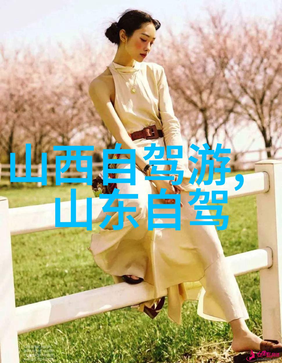 香格里拉的神秘之都探索云南藏区奇观