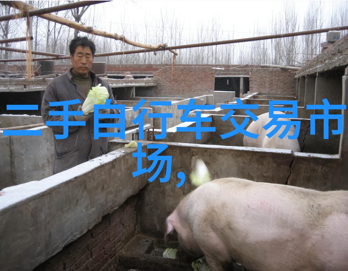 骑行人群的独特魅力轮廓中的节奏与色彩