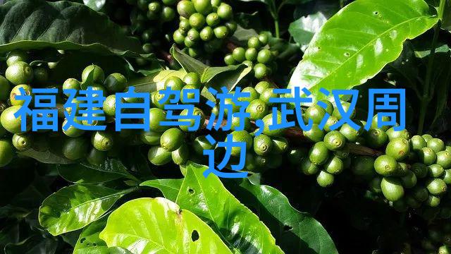 全球最佳旅游目的地TOP10探索世界上最具吸引力的奇迹与景观
