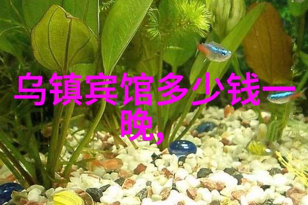 东海之恋探索山东的文化宝藏