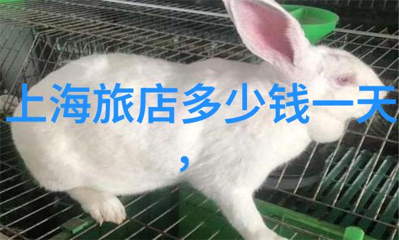 探索贵州风情揭秘其特色旅游线路与景点