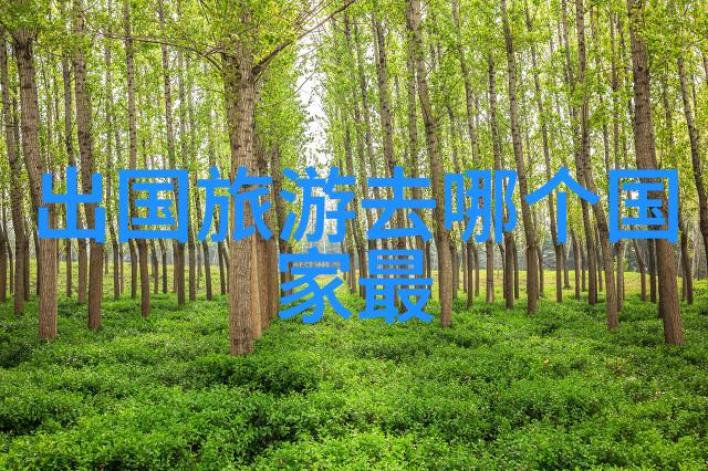 凤悦酒店及度假村携子品牌耀目上海国际酒店展三亚房车之旅激发创意人生