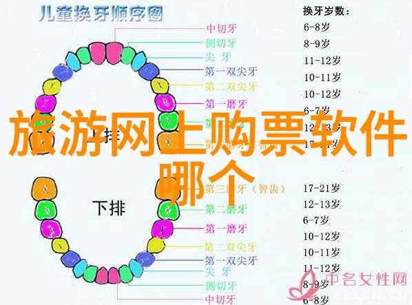 探索童年梦想我的三年级游记