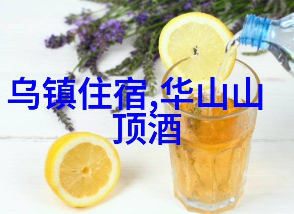 失落的岛屿背后的秘密与未解之谜