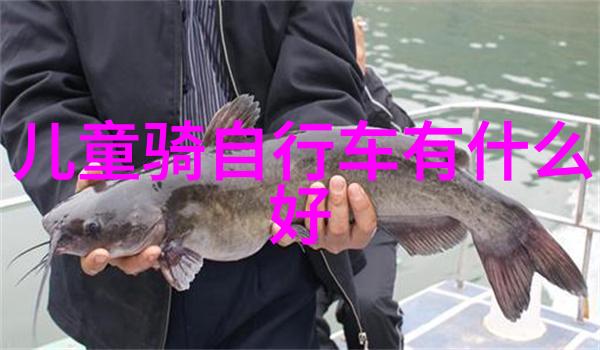 新疆之旅探索西域风情的攻略