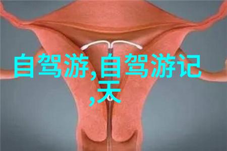 旅游景点简单介绍我眼中的那座美丽的古城探秘天津的老城墙