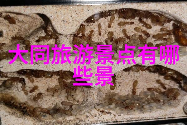 户外探险野性呼唤的旅途