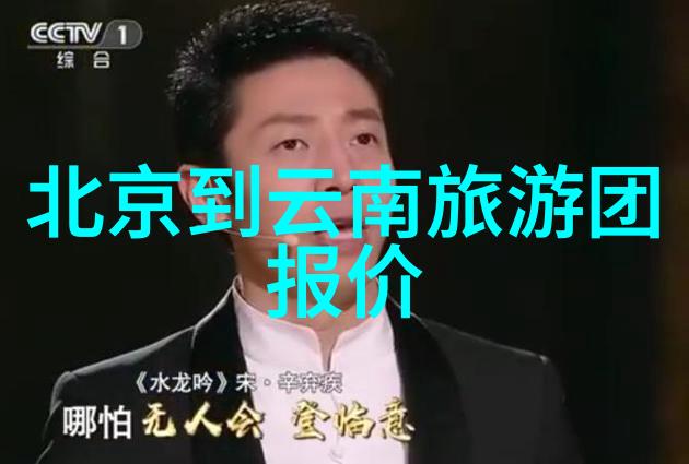 乌龟蹭扇贝探秘海洋奇遇中的浪漫与友谊
