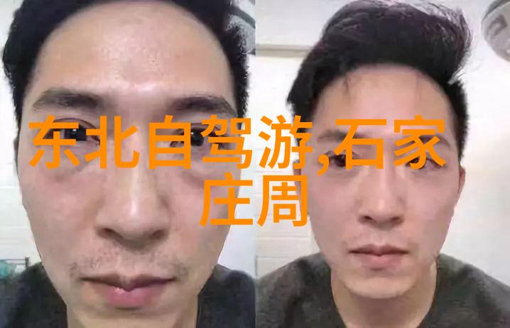 关于旅游新闻报道我是如何在热带雨林里遇到一只友好的猴子