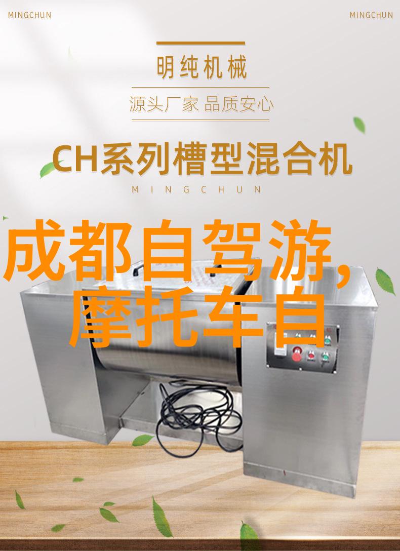 国外旅行指南安全文化适应与健康保障的多重维度
