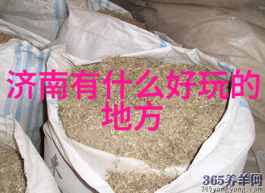 自驾游买什么保险好探索旅行保障的智慧之旅