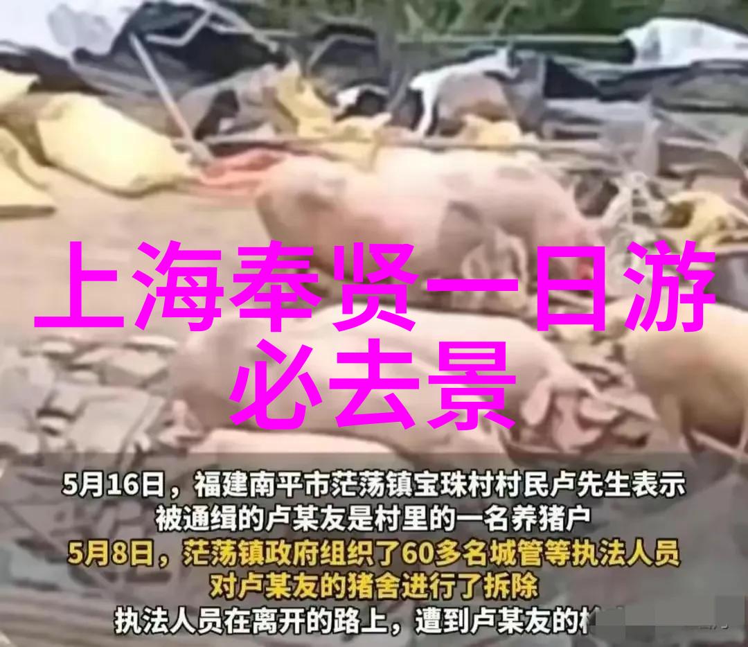 旅游选择旅行社的技巧与建议如何挑选最佳旅行社