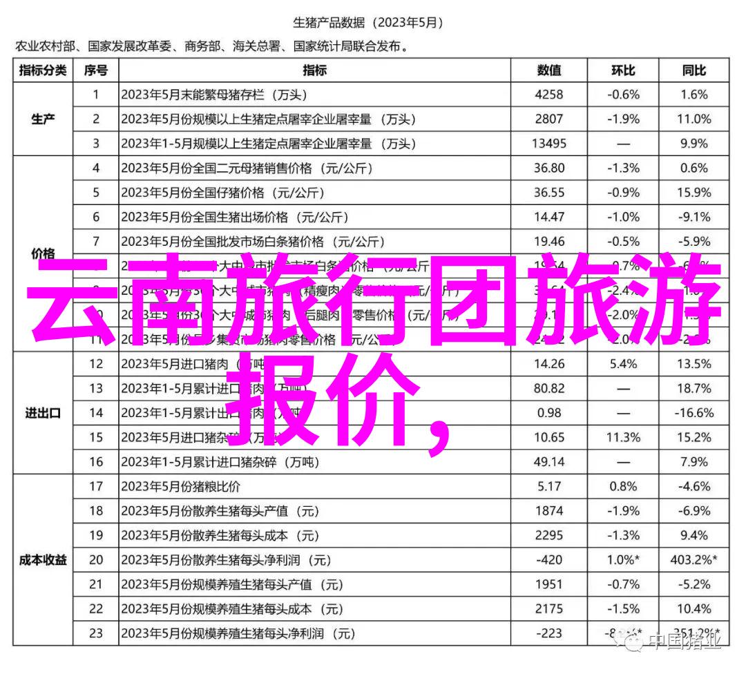 户外小游戏百宝箱100种趣味活动让您夏日无忧游乐