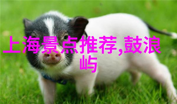 远方的足迹探索十大出境游之旅