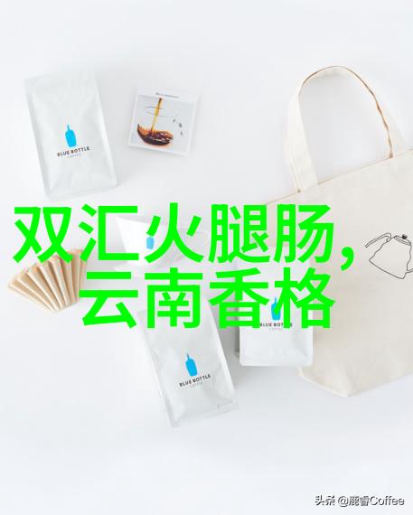 孩子们的荒野求生城市里的野性游戏