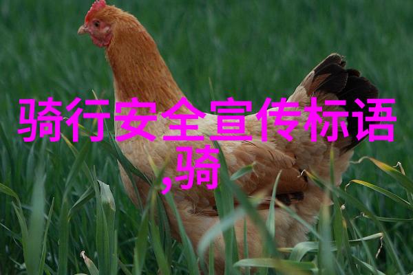 西游记动画我和唐僧的奇幻历险