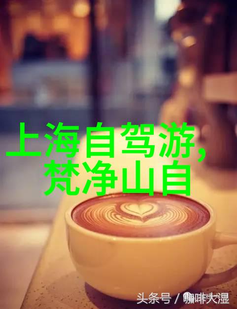 探索无限风景保障旅途安心自驾游保险的重要性与选择
