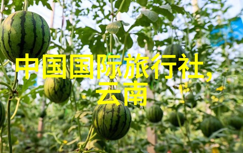 2022年最火的骑行软件你下载了哪一个
