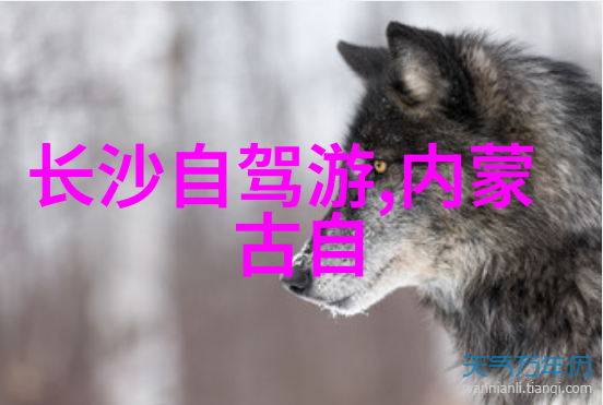 中国最好玩的旅游城市探索上海的魔力之都