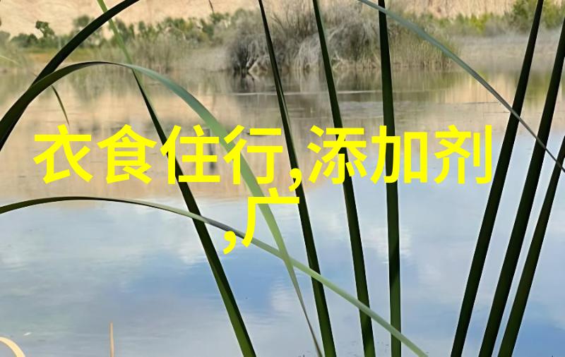 云霄十大美食图片探索云端美味的十大精选