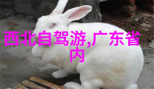 兰州美食探秘尝遍兰州的风味
