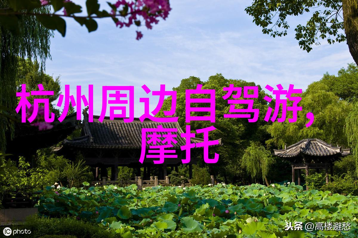 蓝月谷探险揭秘蓝月谷的神秘奥秘