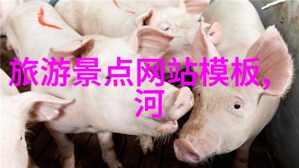 新疆风情探索丝绸之路戈壁沙漠与天山的奇迹