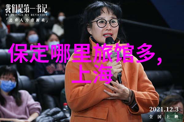 紫禁城的回声时光里的故事与梦想
