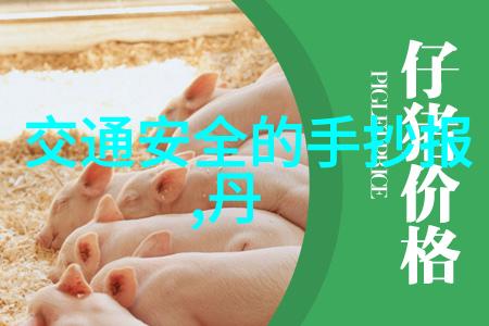 探秘江西古迹梵净山的神秘面纱