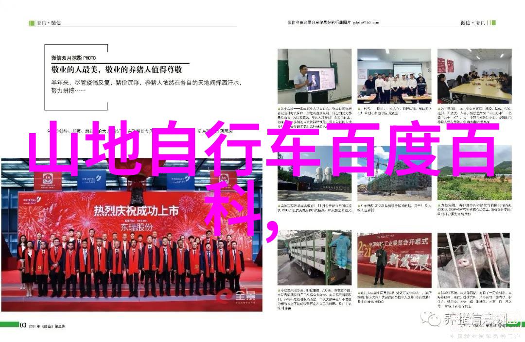 穿越千年岁月一同发现那些被遗忘却又永恒的宝藏地带