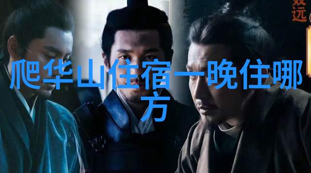 云游仙境东山岛的秘密之旅