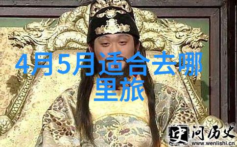 老年旅游专列游欢乐行探索梦