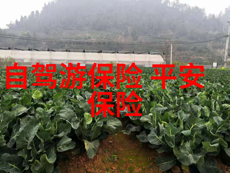 如何预防并处理在海南出行时遇到的健康问题呢